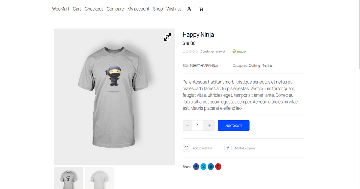 Screenshot of a single product page